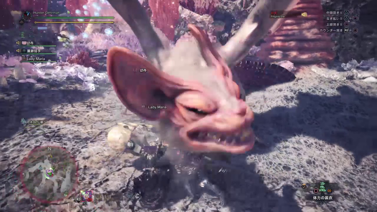 モンスターハンター：ワールド HBOY 20180227 Part 29