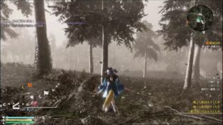 ［真三國無双８］辛憲英でマップ埋め