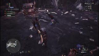 モンスターハンター：ワールド_20180328234253