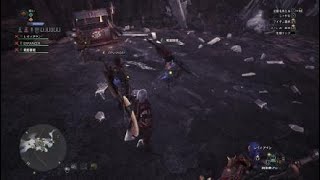 モンスターハンター：ワールド_20180328234253