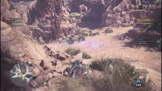 ［モンスターハンターワールド］　HR29上限解放クエスト