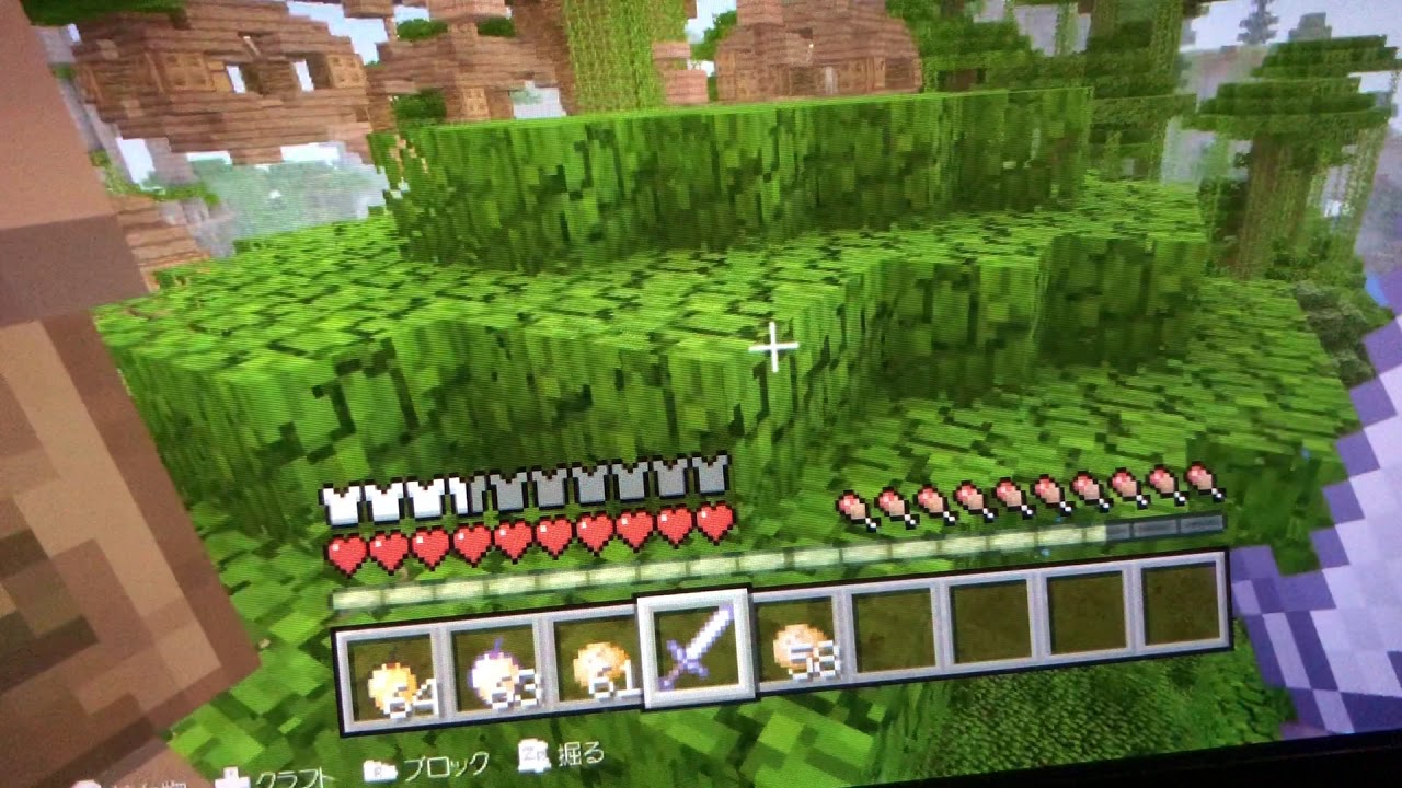 WiiUマインクラフト剣ＶＳ弓で戦ってみたら怒って去った（笑）⚔