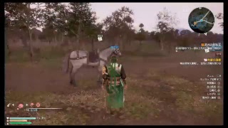 真・三國無双8 part 58 蜀ｽﾄｰﾘｰ　関平