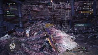 MHW モンスターハンターワールド　野良でやってく