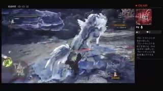 ﾓﾝｽﾀｰﾊﾝﾀｰﾜｰﾙﾄﾞ　片手剣でプレイ　part 25