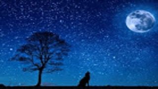 女性実況 　 pubg    よければチャンネル登録お願いします