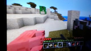 マインクラフトwiiUマルチサバイバル生活#1。