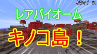 【マインクラフト】とりあえず適当にマインクラフト #1