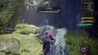 モンスターハンターワールド　PS4 Proから生配信