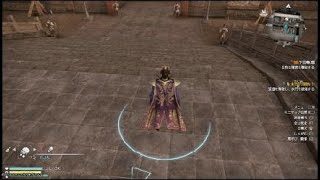 真・三國無双８_てんい死す