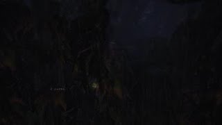 【MHW】アンジャナフ撃ち落とし(笑)【モンスターハンターワールド】