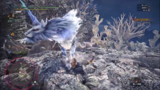 【PS4】#10　モンスターハンターワールド