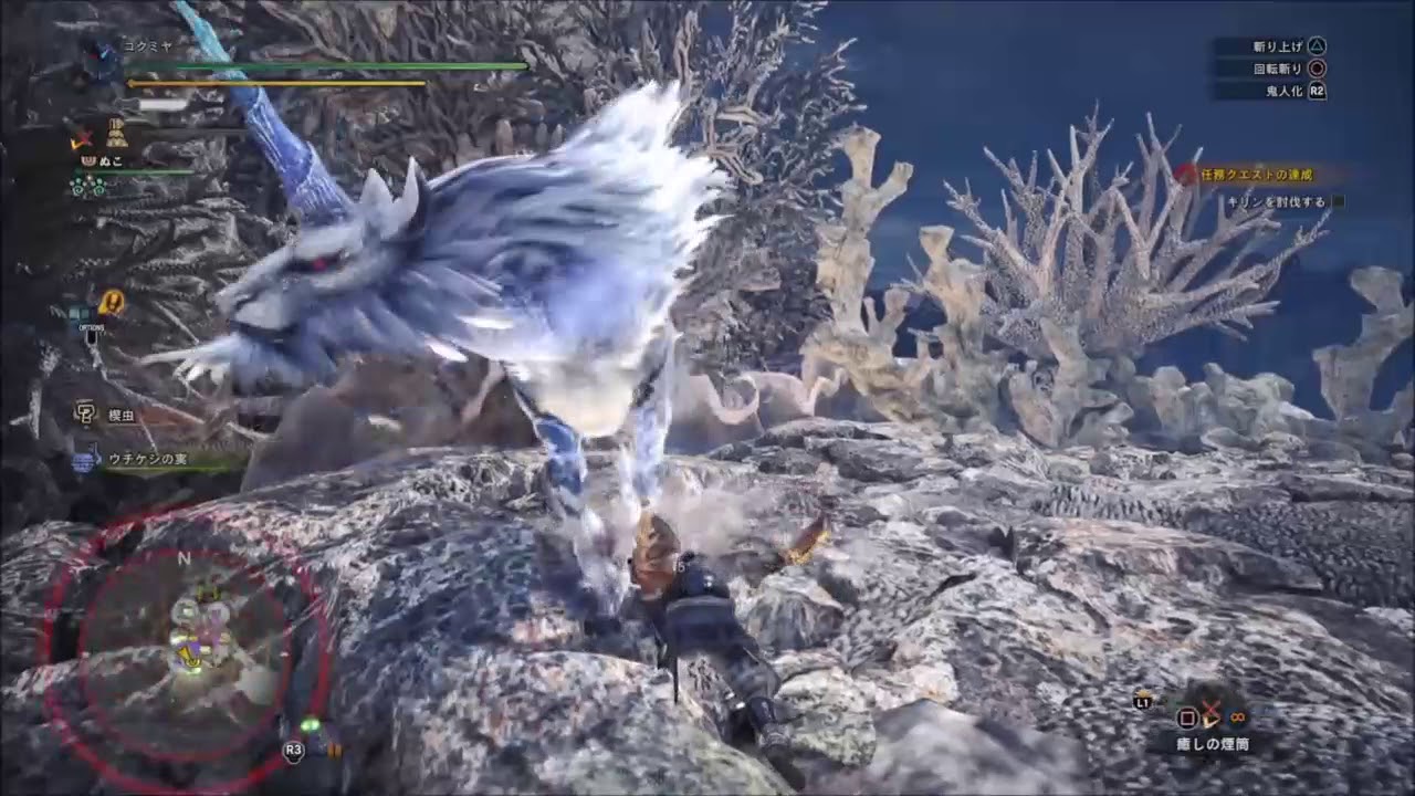 【PS4】#10　モンスターハンターワールド