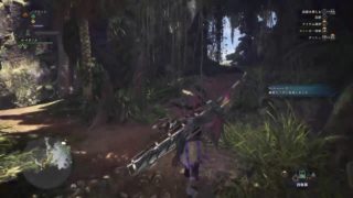 (声あり)モンスターハンターワールド