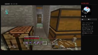 すぐ死んじゃう人のマインクラフト　その15