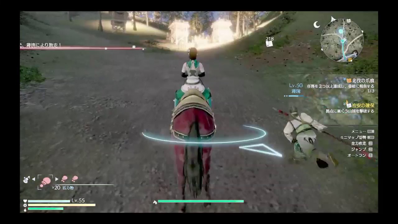 深夜の三國無双8 キャラクター　星彩