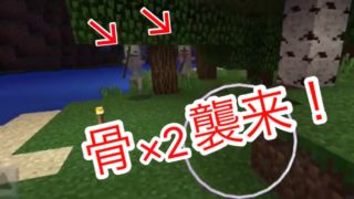 【マインクラフト】シロート水野のマインクラフト アプリ版♯4水野ベッド作りをしながら骨×2に挑む！
