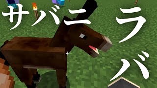 【マインクラフト】サバニラバ：まぐにぃのマイクラマルチ#番外編