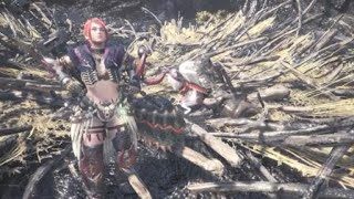 モンスターハンター：ワールド_ｸｼｬﾙ戦　太刀イビル