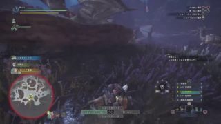 声あり！ベア子のライブ！モンスターハンターワールド＃5テスト週間の分を今！！