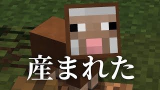 【マインクラフト】う、、産まれたぁ〜〜！！！：まぐにぃのマイクラ実況2 #45