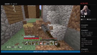 新ニューマインクラフト10