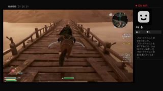 ペイトゥの三國無双