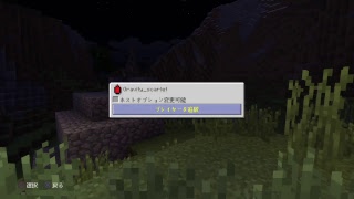 フレンドとマインクラフトやりゅ マインクラフト生放送