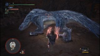 モンスターハンターワールド　下位特殊闘技場 飛雷竜編2018 03 11 23 06 48 417