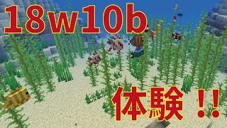 【スナップショット】18w10b 待ちきれないからやっちゃうよ！マインクラフトスナップショット！