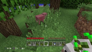 マインクラフト　フレンドと