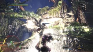 モンスターハンターワールド クエスト 不思議の森の女王