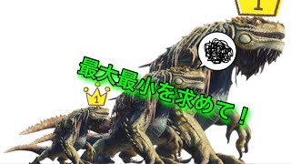 [モンスターハンター：ワールド]トロコン目指してサイズを出す旅！