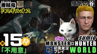 【痺賊竜】第15狩 「不用意」モンスターハンターワールド　sumioの初見実況ソロ弓プレイ