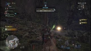 モンスターハンター：ワールド_20180224045151