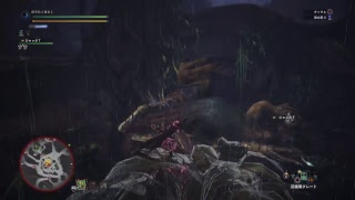 【たくが】集会エリア番号[4vWaDEaLKFrX]イビルジョーだって！？　モンスターハンターワールド【生放送】