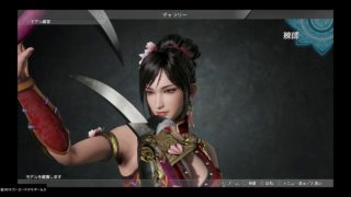 真・三國無双８　練師モデル観賞