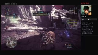 モンスターハンターワールド21