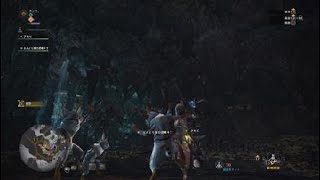 モンスターハンター：ワールド_Let's Dancing !!!
