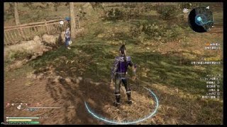 真・三國無双8 バグ  荀攸