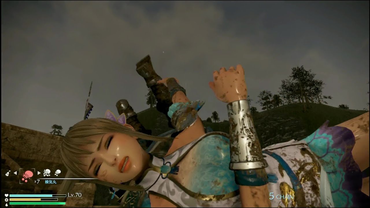 真・三國無双８ 王元姫 ryona リョナ