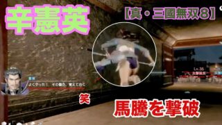 【真・三國無双8】辛憲英の旅
