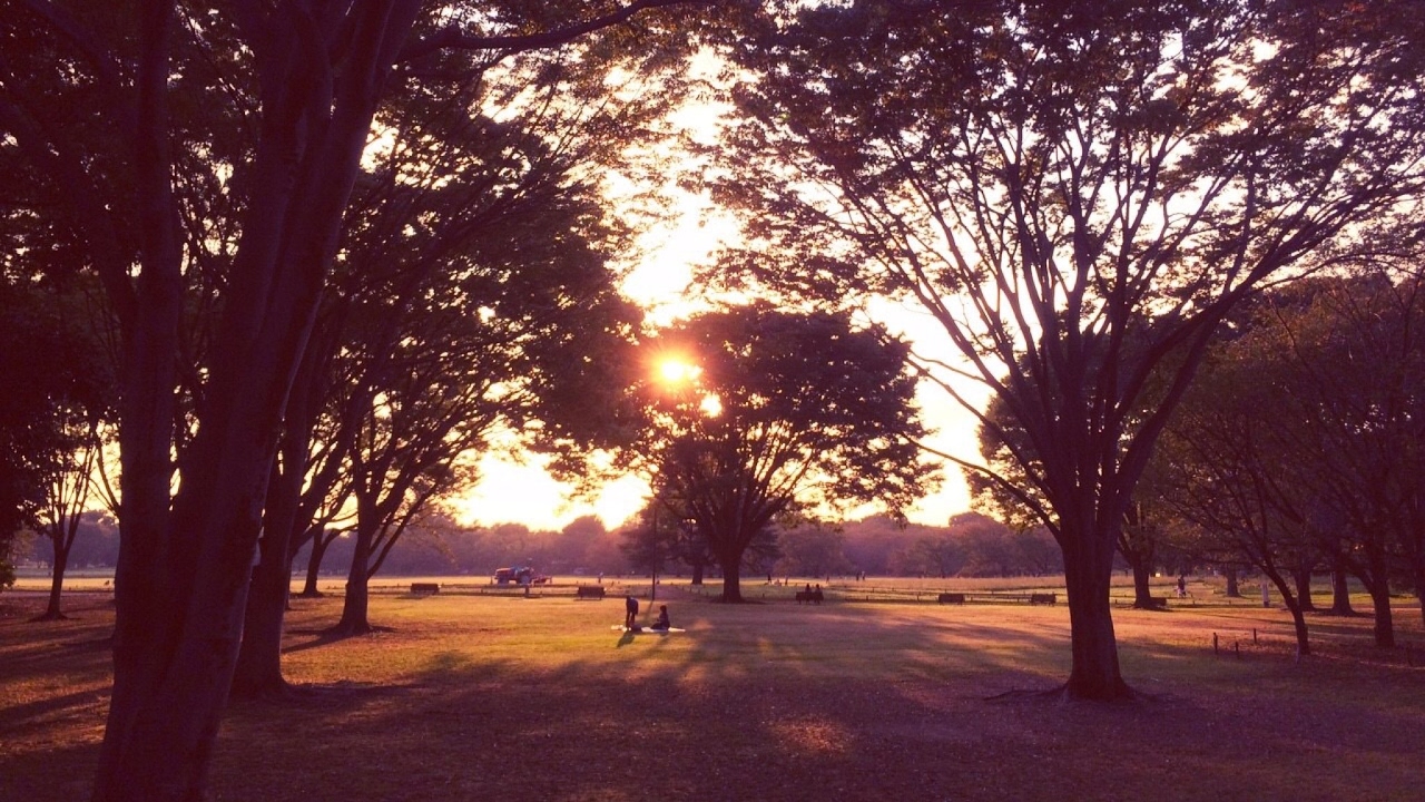 【ドラゴンボールファイターズ】一般市民が下手くそなりに魅せるっ！