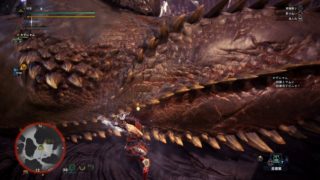 【MHW】一葉のモンハン実況　ソロでイビルジョー狩り【モンスターハンターワールド】【MONSTER HUNTER WORLD】