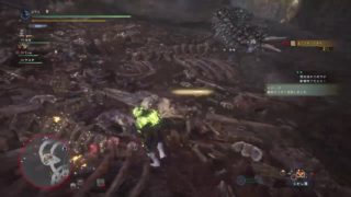 [MHW] モンスターハンターワールド 金冠ついにコンプ・・なはず！ トロコン[垂れ流し]