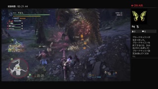 【MHW】モンスターハンターワールド　歴戦イビルを連戦！！　実況無し