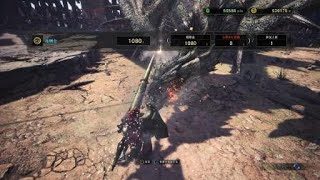 モンスターハンター：ワールド　闘技大会　リオレイア　ランス　ソロ　Sランク