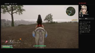 真・三國無双8まったりプレイpart.13