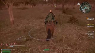 #13【真・三國無双8】蜀の劉備でゆるゆる実況する配信