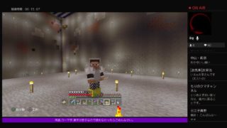 PS4[マインクラフト]まったり雑談ラジオ体操※画面固定多いです